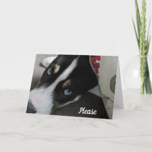 Snälla, var inte arg på mig, jag är ledsen kort