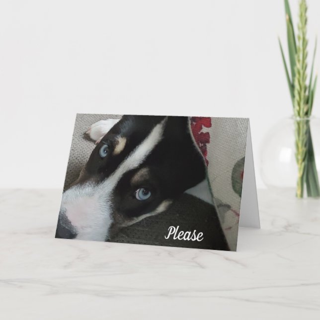 Snälla, var inte arg på mig, jag är ledsen kort (Framsida)