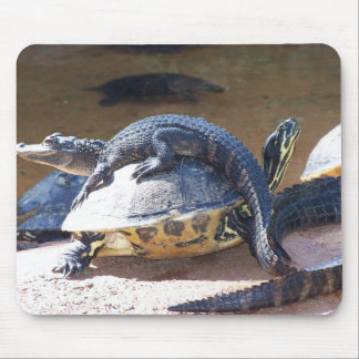 Snålskjuts Musmatta