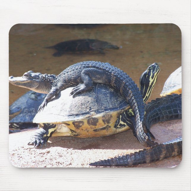 Snålskjuts Musmatta (Framsidan)