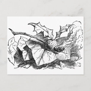 Snap Dragon Fly Vykort