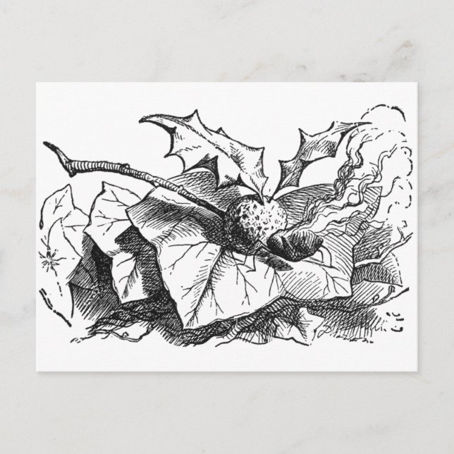 Snap Dragon Fly Vykort (Framsida)