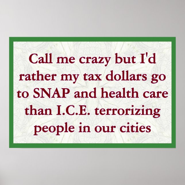 SNAP not ICE Poster (Framsidan)