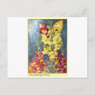 Snapdragon Fairy Vykort