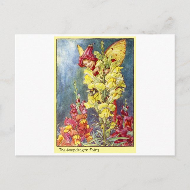 Snapdragon Fairy Vykort (Framsida)