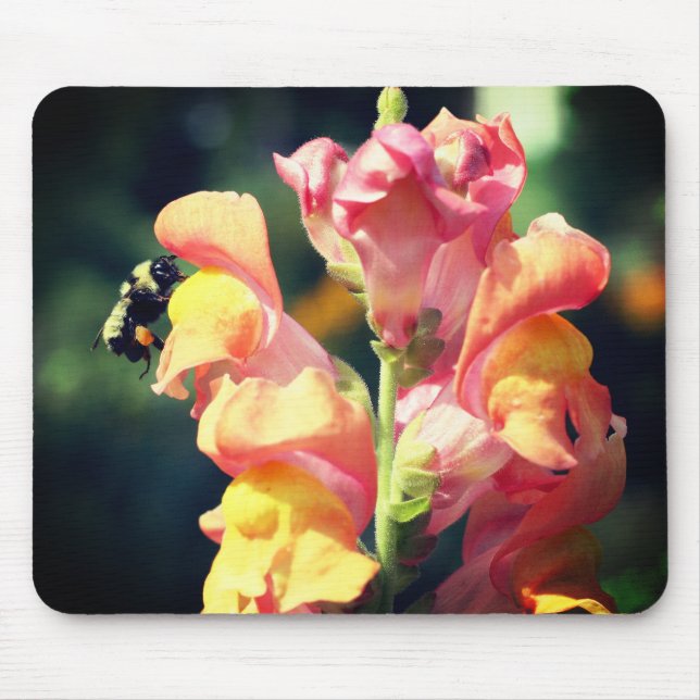 Snapdragon Flower och Humla Musmatta (Framsidan)
