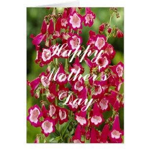 Snapdragon Flowers Greeting Card Hälsningskort