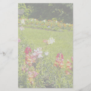 Snapdragon-mall Brevpapper