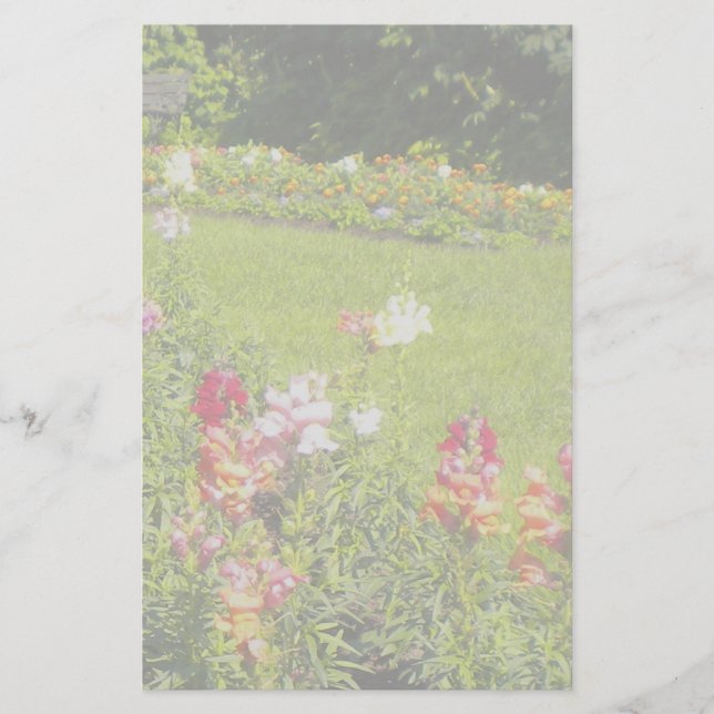 Snapdragon-mall Brevpapper (Framsida)