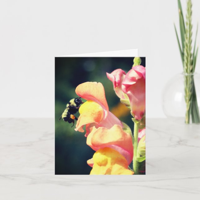 Snapdragon och bi blomfotografering notering kort (Framsida)
