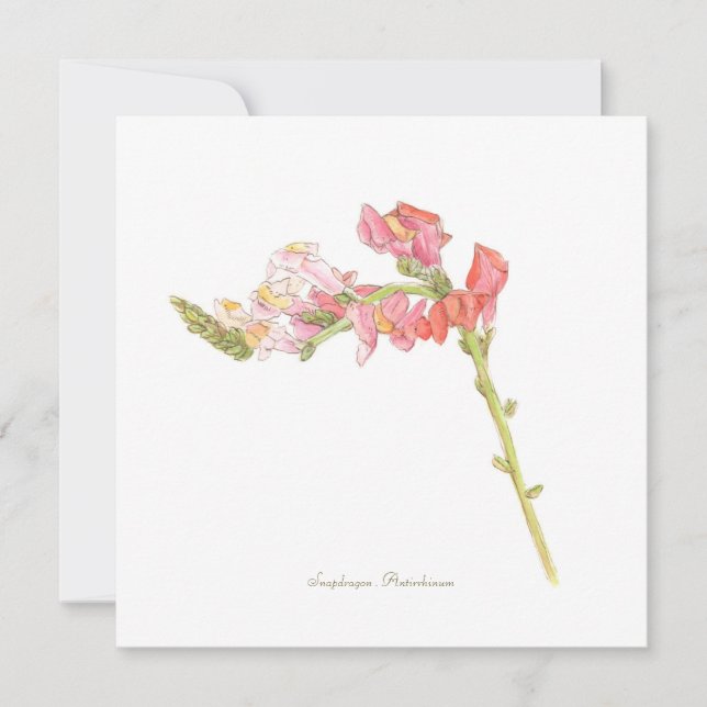 Snapdragon-platta kort (Framsida)