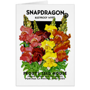 Snapdragon Vintage fröpaket Hälsningskort