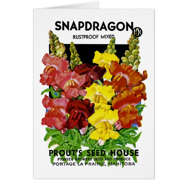 Snapdragon Vintage fröpaket Hälsningskort (Framsidan)