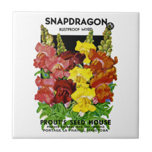 Snapdragon vintage kärnar ur paketet kakelplatta