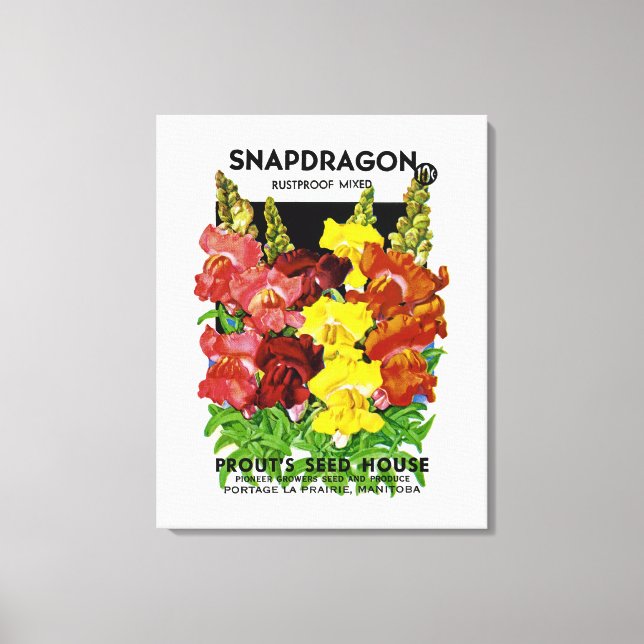 Snapdragon Vintage Seed Packet Canvastryck (Framsida)