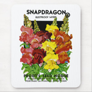 Snapdragon Vintage Seed Packet Musmatta