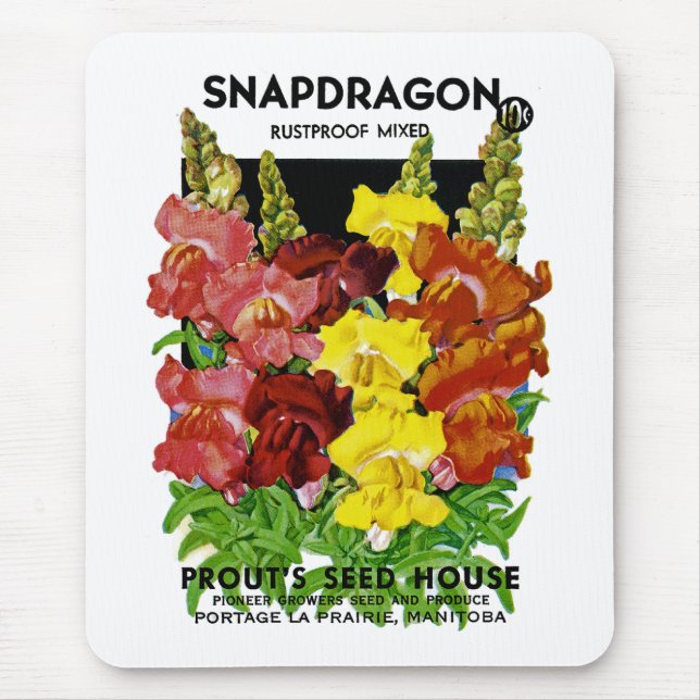 Snapdragon Vintage Seed Packet Musmatta (Framsidan)