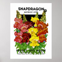 Snapdragon Vintage Seed Packet