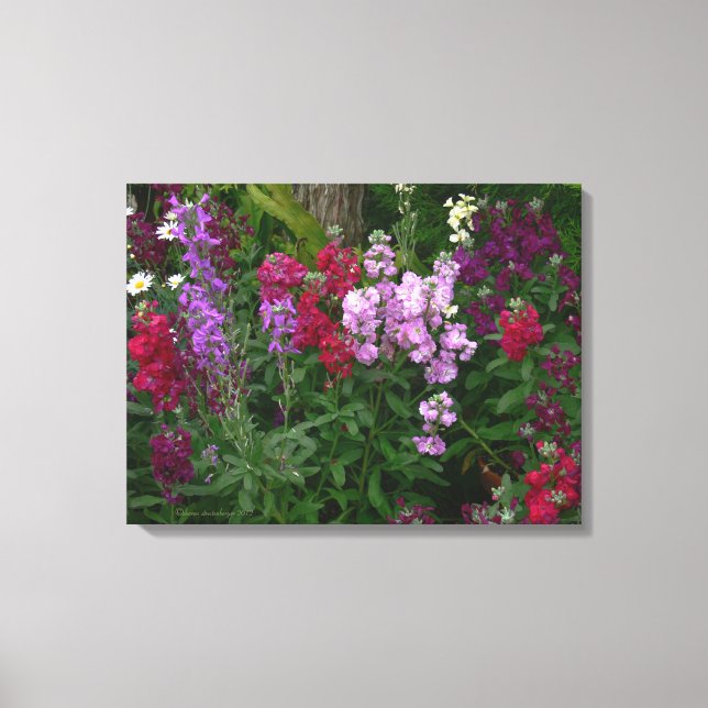 ’SNAPDRAGONER’/PHOTOG/3 PANELS CANVAS GLOSS (Framsida)