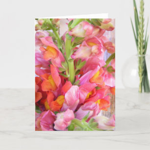 Snapdragons bukett tack kort
