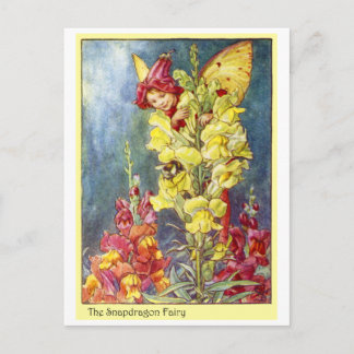 Snapdraon Fairy Vykort