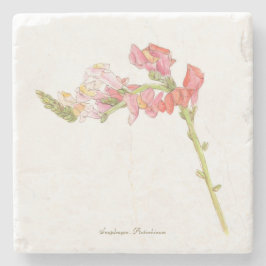 Snapdraon Stenunderlägg