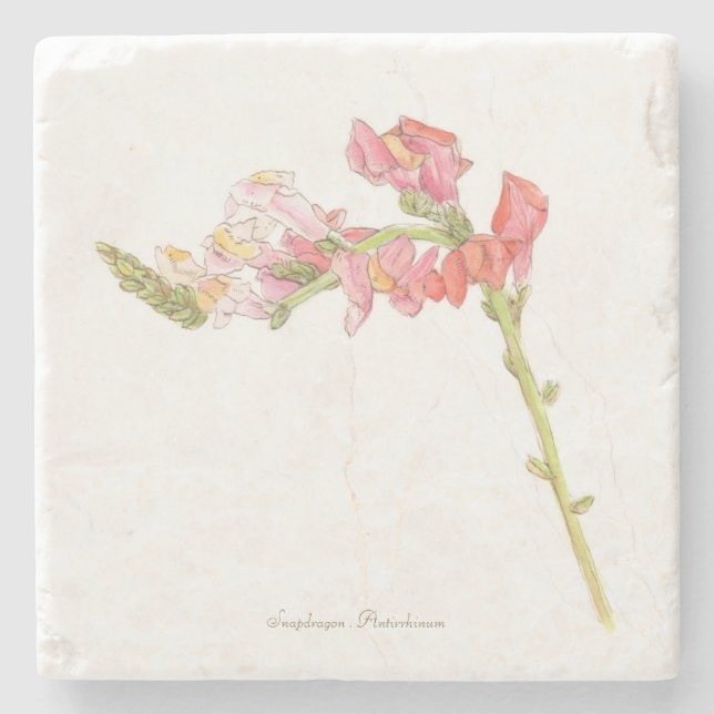 Snapdraon Stenunderlägg (Framsidan)