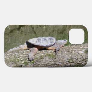 Snapping Turtle