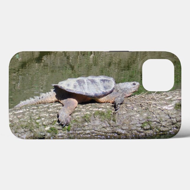 Snapping Turtle (Baksida (horisontell))