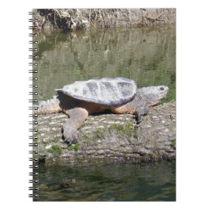 Snapping Turtle Anteckningsbok