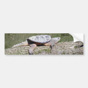 Snapping Turtle Bildekal