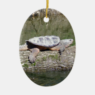 Snapping Turtle Julgransprydnad Keramik
