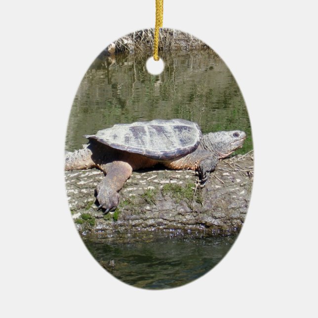 Snapping Turtle Julgransprydnad Keramik (Framsidan)