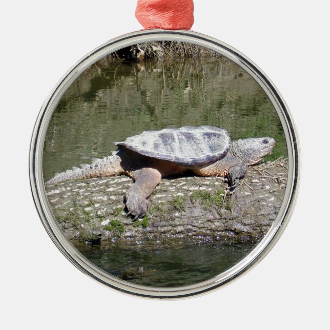 Snapping Turtle Julgransprydnad Metall (Framsidan)