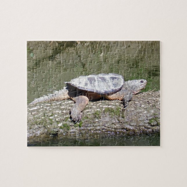 Snapping Turtle Pussel (Horisontell)