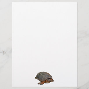 Snapping Turtle Terrapin-älskare Gift