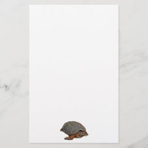 Snapping Turtle Terrapin-älskare Gift Brevpapper