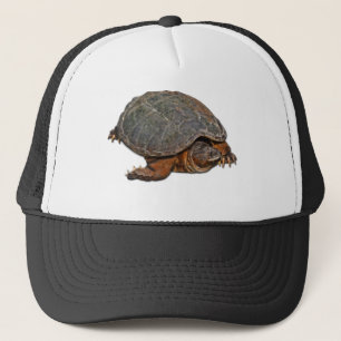 Snapping Turtle Terrapin-älskare Gift Keps