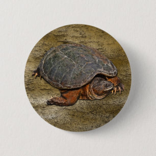 Snapping Turtle Terrapin-älskare Gift Knapp