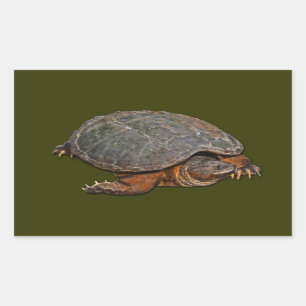 Snapping Turtle Terrapin-älskare Gift Rektangulärt Klistermärke