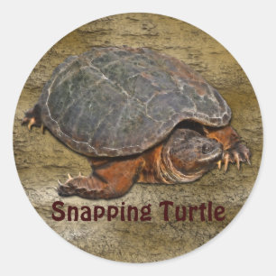 Snapping Turtle Terrapin-älskare Gift Runt Klistermärke