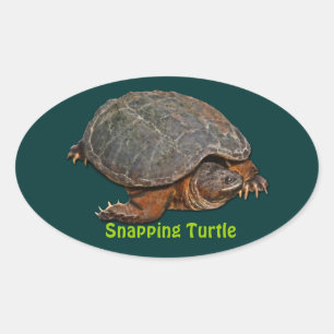 Snapping Turtle Terrapin-älskare Stickers Ovalt Klistermärke