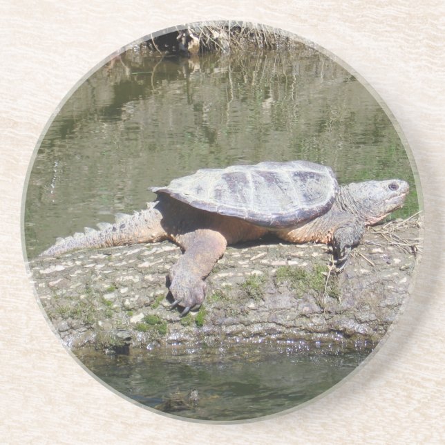 Snapping Turtle Underlägg (Framsidan)