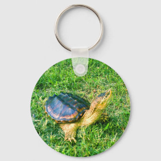 Snappning Turtle Keychain #3 Nyckelring