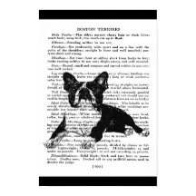 SNAPPY BOSTON BULL TERRIER VINTAGE ART PRINT