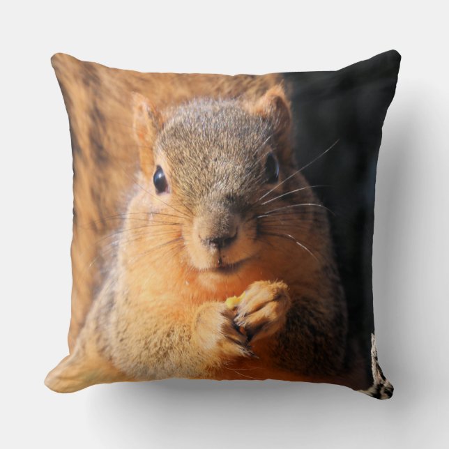 Snaptid Kudde (Framsida)