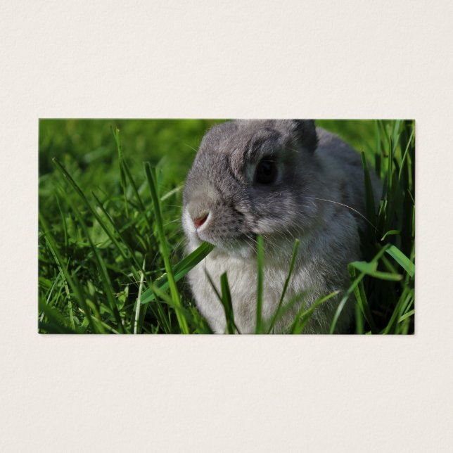 Snaptid Visitkort (Framsidan)