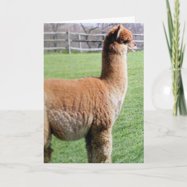 SNARARE  MIN BIRTHDAY MED DIG ÄN NÅGON KORT (Framsida)