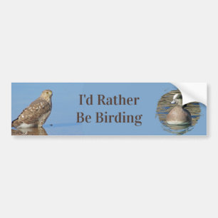 Snarare vara fågelhobbyVild Raptor Bird Hawk Bildekal