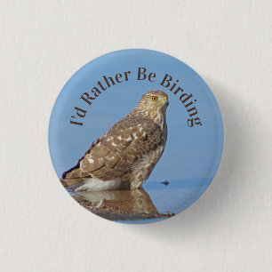 Snarare vara fågelhobbyVild Raptor Bird Hawk Knapp